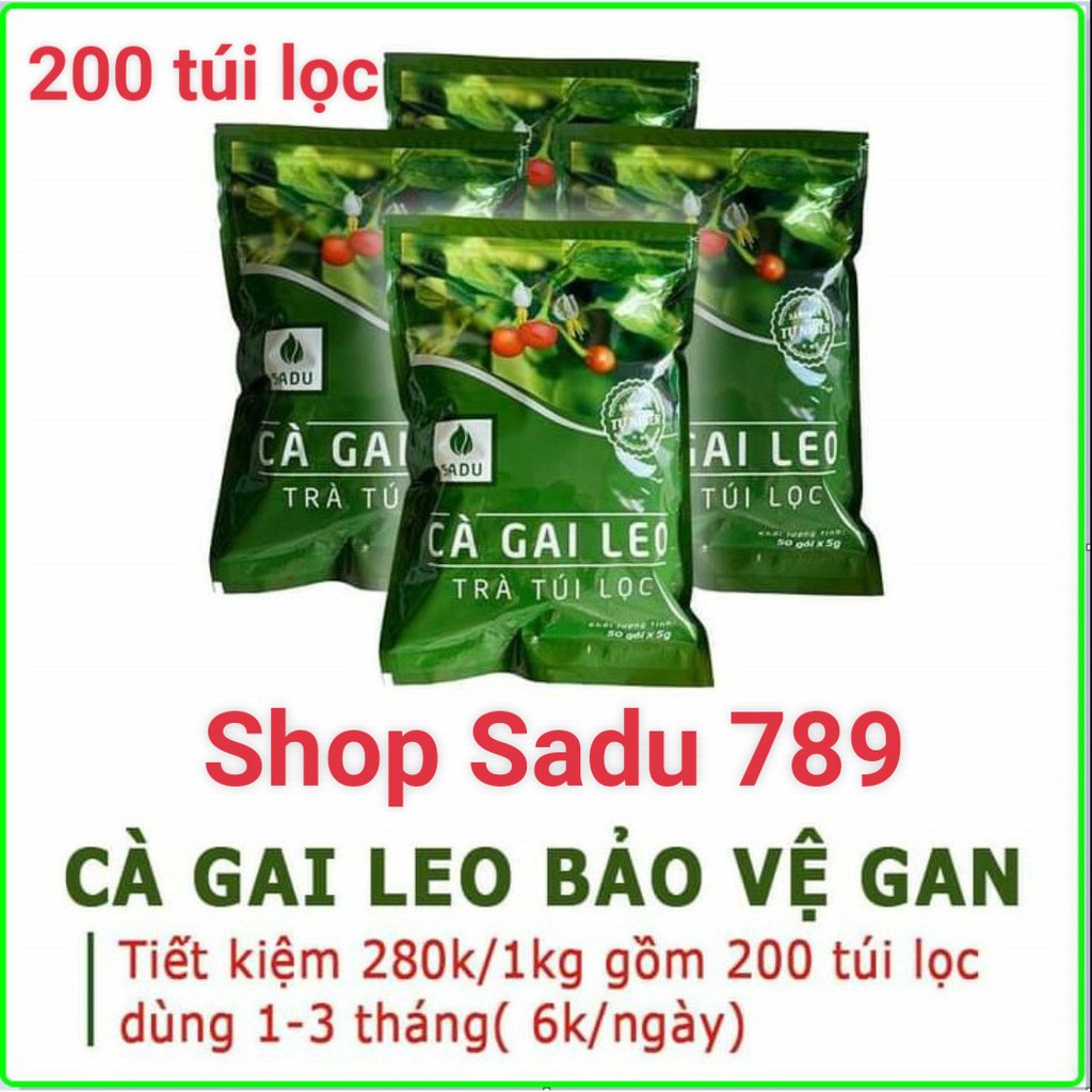 4 bịch trà túi lọc cà gai leo sadu-1kg mát gan thải độc gan