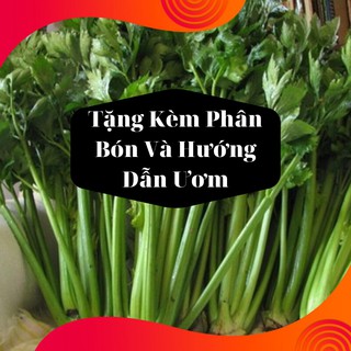 Combo 2 Gói Hạt Giống Rau Cần Tây