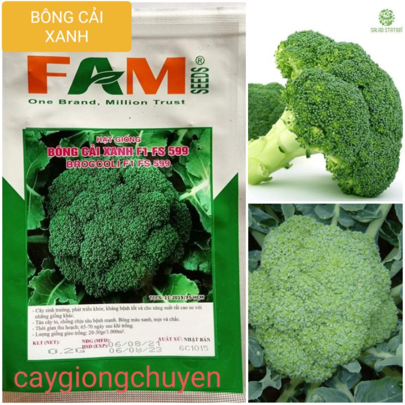 GÓI HẠT GIỐNG SÚP LƠ XANH