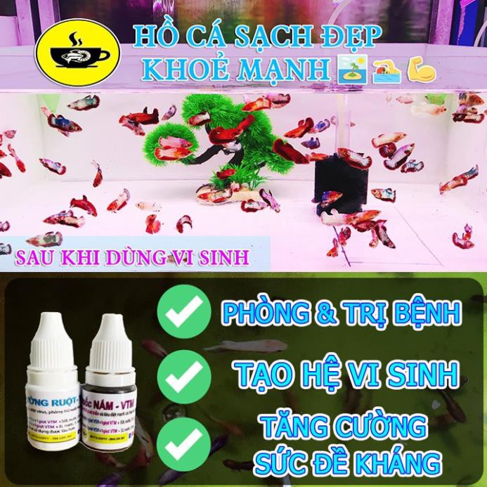 Mineral BECO - Khoáng Chất Tổng Hợp Cho Cá Tép 🦐