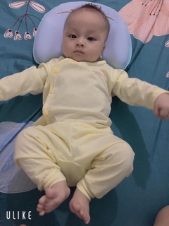 Bộ Noubaby