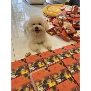 Miếng dán ngực thần thánh LADE’