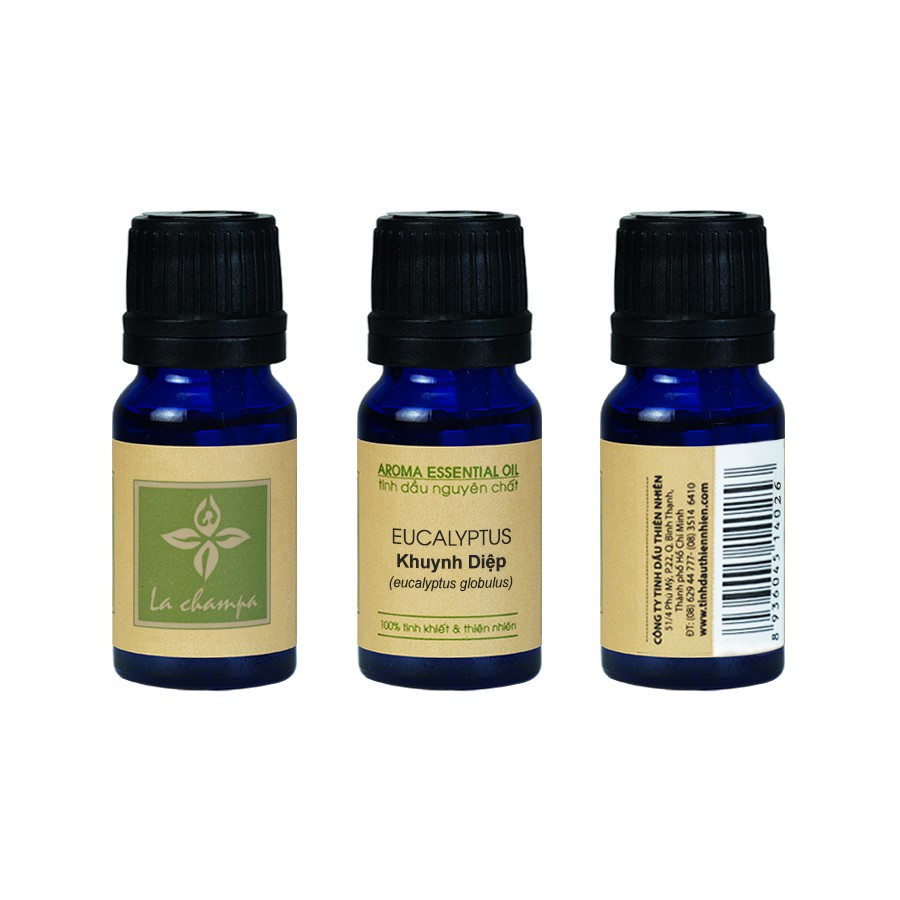 Khuynh Diệp Eucalyptus Globulus Oil