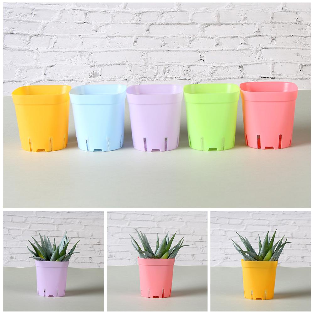 Set 10 Chậu Hoa Mini Bằng Nhựa Màu Sắc Ngẫu Nhiên