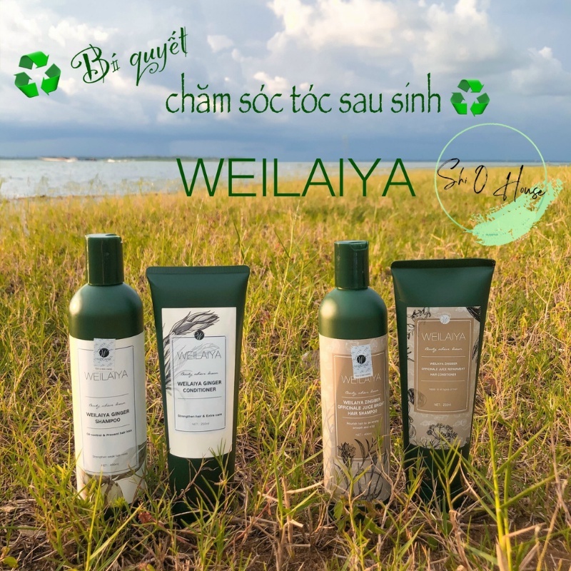 Bộ Dầu Gội Weilaiya Chính Hãng Tinh Chất Gừng Hà Thủ Ô Hỗ Trợ Mọc Tóc Ngăn Rụng Tóc Cho Da Đầu Khô SHI O HOUSE DW223