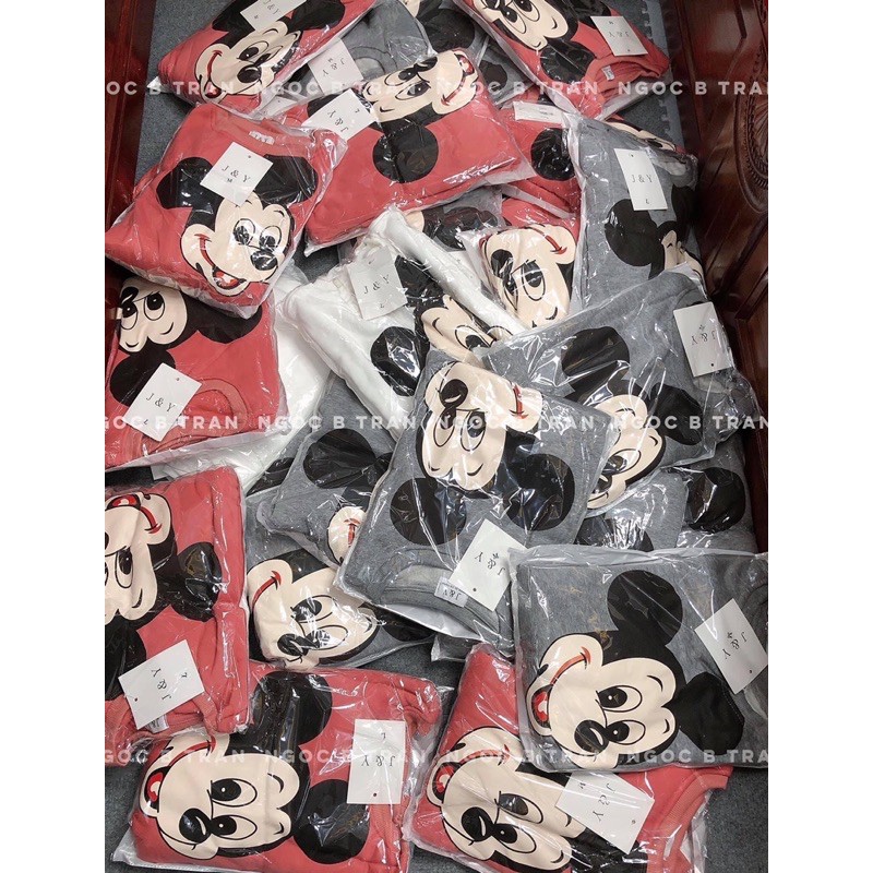 🎀ÁO NỈ MICKEY CUTE HOT HIT
