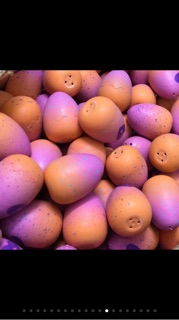 COMBO 10 TRỨNG HATCHIMALS