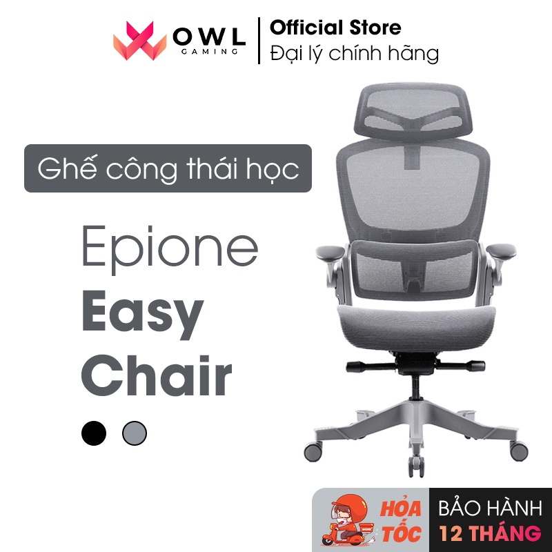 Ghế công thái học ergonomic Epione Easy Chair (All Black / Cool Gray) (Hàng chính hãng)