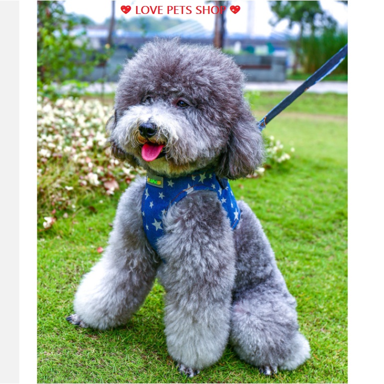 BỘ DÂY DẮT CHÓ KÈM YẾM BẰNG VẢI JEAN (KHÔNG CHỌN SIZE THEO SỐ KG Ạ)-  LOVE PETS SHOP