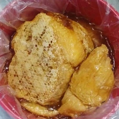 Ong Rừng Ong Khoái Nguyên Sáp Chưa Vắt-Nguyên Bánh Tổ Loại Tổ Đẹp Mới Bắt