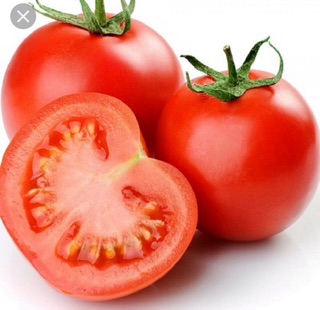 Hạt giống Cà Chua Đỏ F1