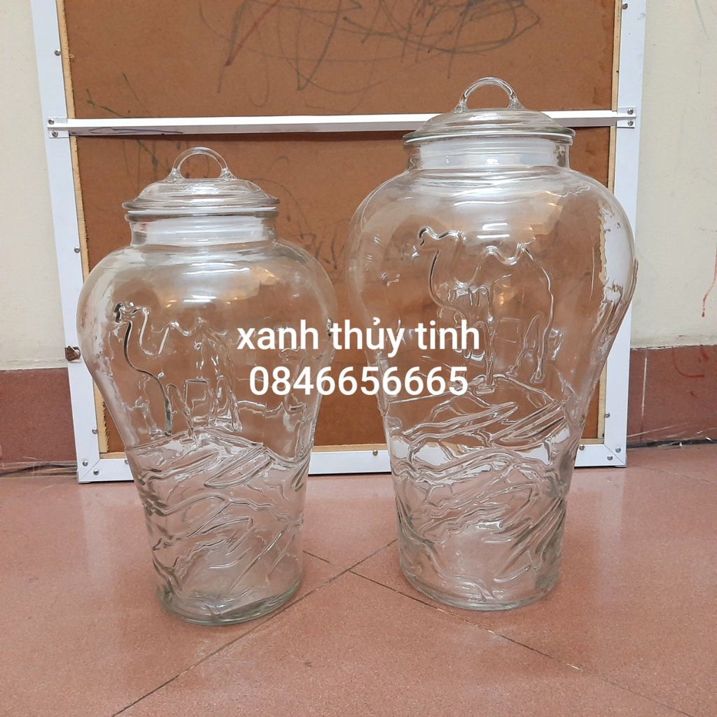 Bình thủy tinh họa tiết LẠC ĐÀ, ngâm sâm, nấm, hoa quả trong veo - 8 lít
