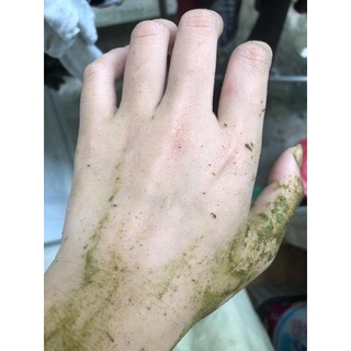 ( Tặng muỗng ) BỘT CỎ Ủ TRẮNG DA ( bột tắm trắng ). hủ 300gram