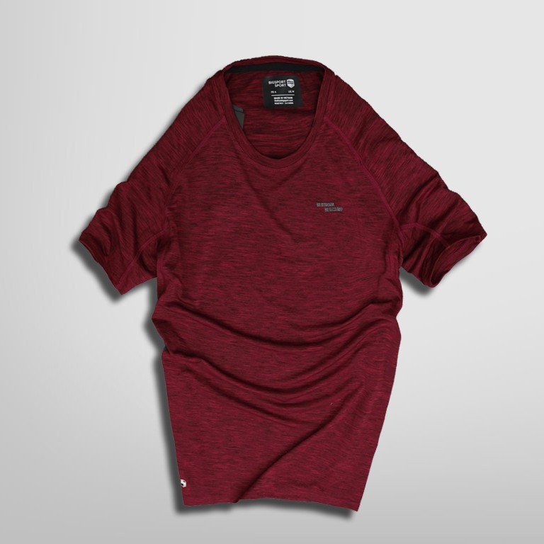 Áo Thun Nam Thể Thao Mặc Ở Nhà Cổ Tròn Vải Poly Cao Cấp Basic Áo Phông Nam Chạy Bộ Tập Gym - Big Sport, BS12 | BigBuy360 - bigbuy360.vn