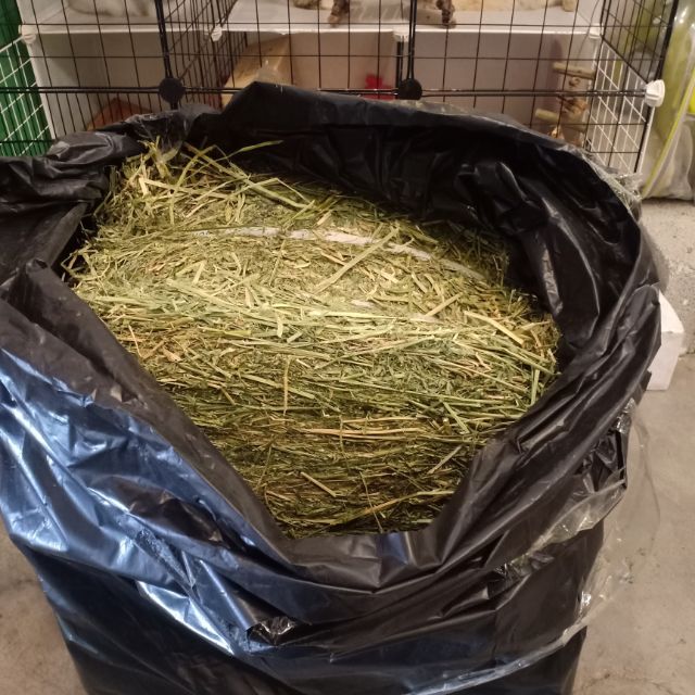 Cỏ khô Alfalfa cho thỏ và bọ giá rẻ 40k/1kg