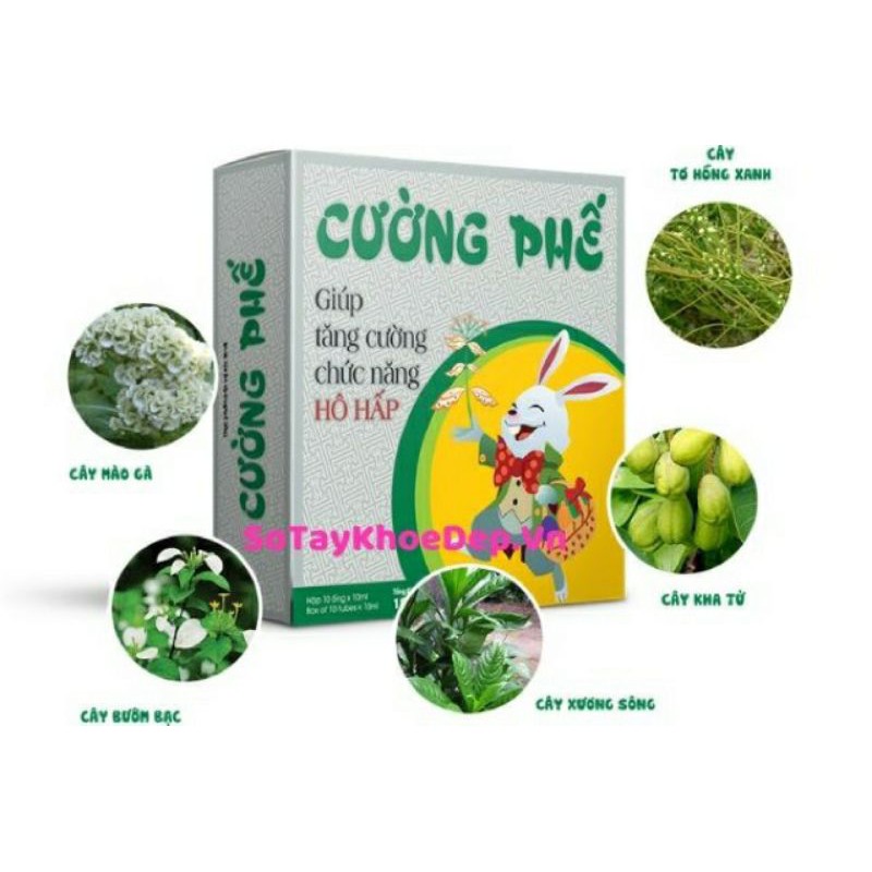 ✅ CƯỜNG PHẾ Tăng Cường Hô Hấp(10 ống)