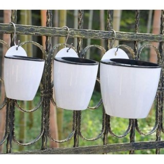 Chậu cây treo tường bằng nhựa tự tưới nước tiện dụng nhiều kích cỡ