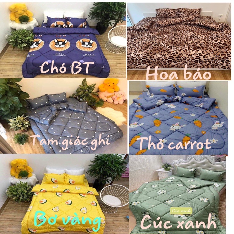 Bộ Chăn Ga 5 Món Cotton Poly - Chăn Phao Trần Dầy Dặn | BigBuy360 - bigbuy360.vn