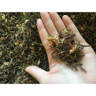 Combo 2kg TRÀ SƠN MẬT loại ngon