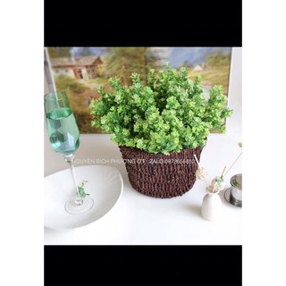 🍀 Lá Điểm Cành Ngâu Decor