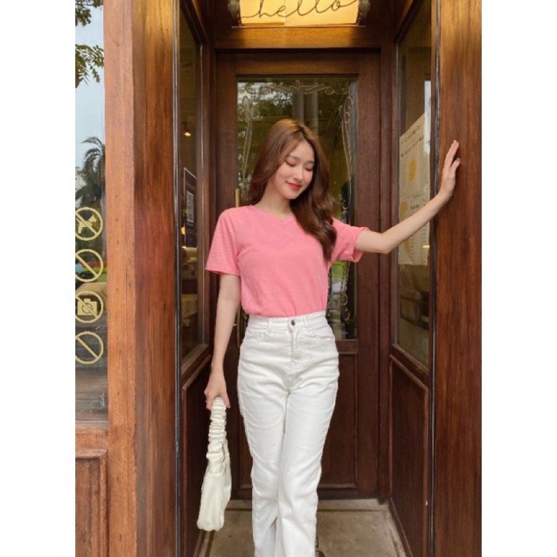 Áo phông giấy cổ tim 5 màu