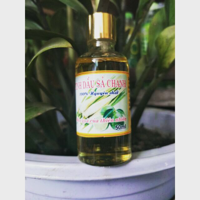 Tinh dầu xả chanh 50ml