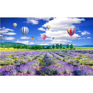 Tranh dán tường phong cảnh hoa lavender