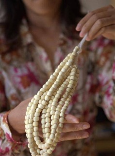 Sen khô Tịnh Tâm Huế