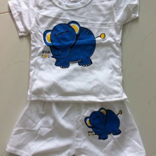 Set 6 Bộ hình thú
