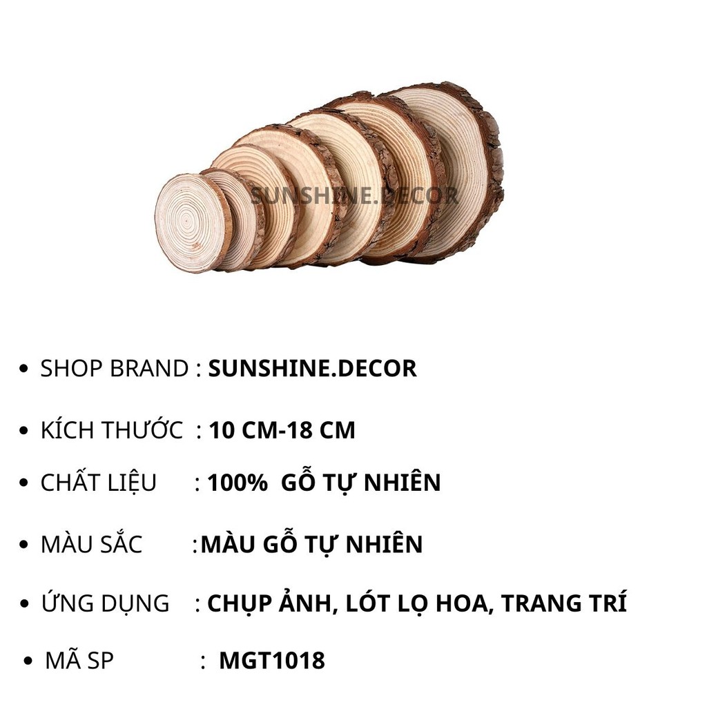 Miếng Gỗ Tròn Decor Trang Trí Chụp Ảnh Sản Phẩm 10-18 cm