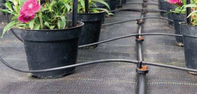 ống nhựa đen pe 6mm cao cấp dài 35m dùng cho hệ thống tưới cây
