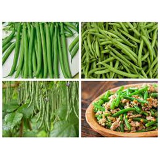 Gói 20 gram hạt giống đậu cove leo hạt tròn