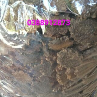Hạt gấc đã rang 500g