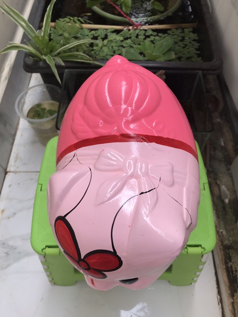 Heo đất kitty hồng size XL