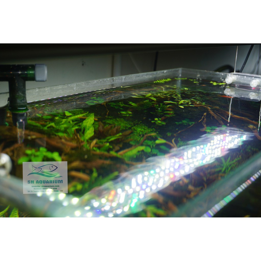 Đèn Led Odyssea A1 Pro