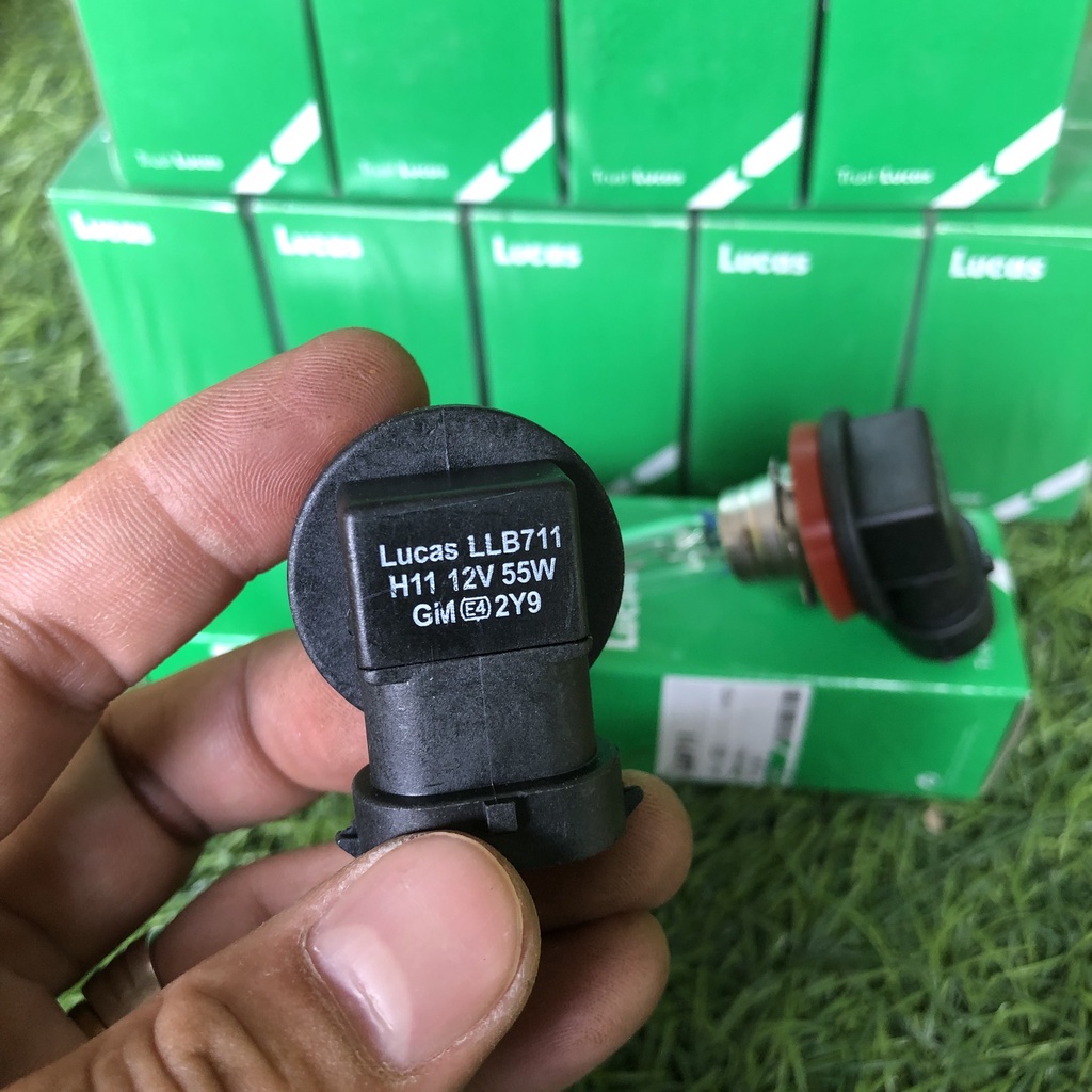 BÓNG ĐÈN GẦM CHÂN H11