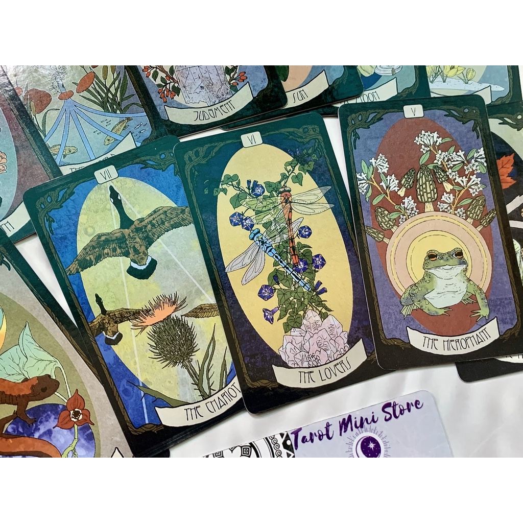 Bộ bài The Forager's Daughter Tarot 78 lá phiên bản đầu tiên size gốc