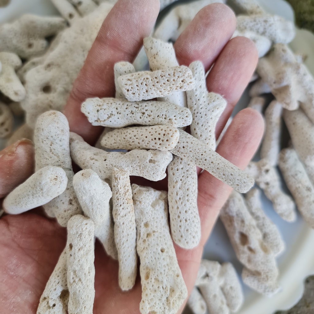 San hô vụn lọc nước, tăng pH ,trang trí bể cá cảnh