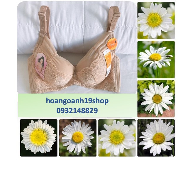 Áo lót JOY ren đệm cao cấp form dáng cho mặc áo dài và đầm các loại