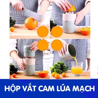 Dụng cụ vắt nước hoa quả bằng cây yến mạch