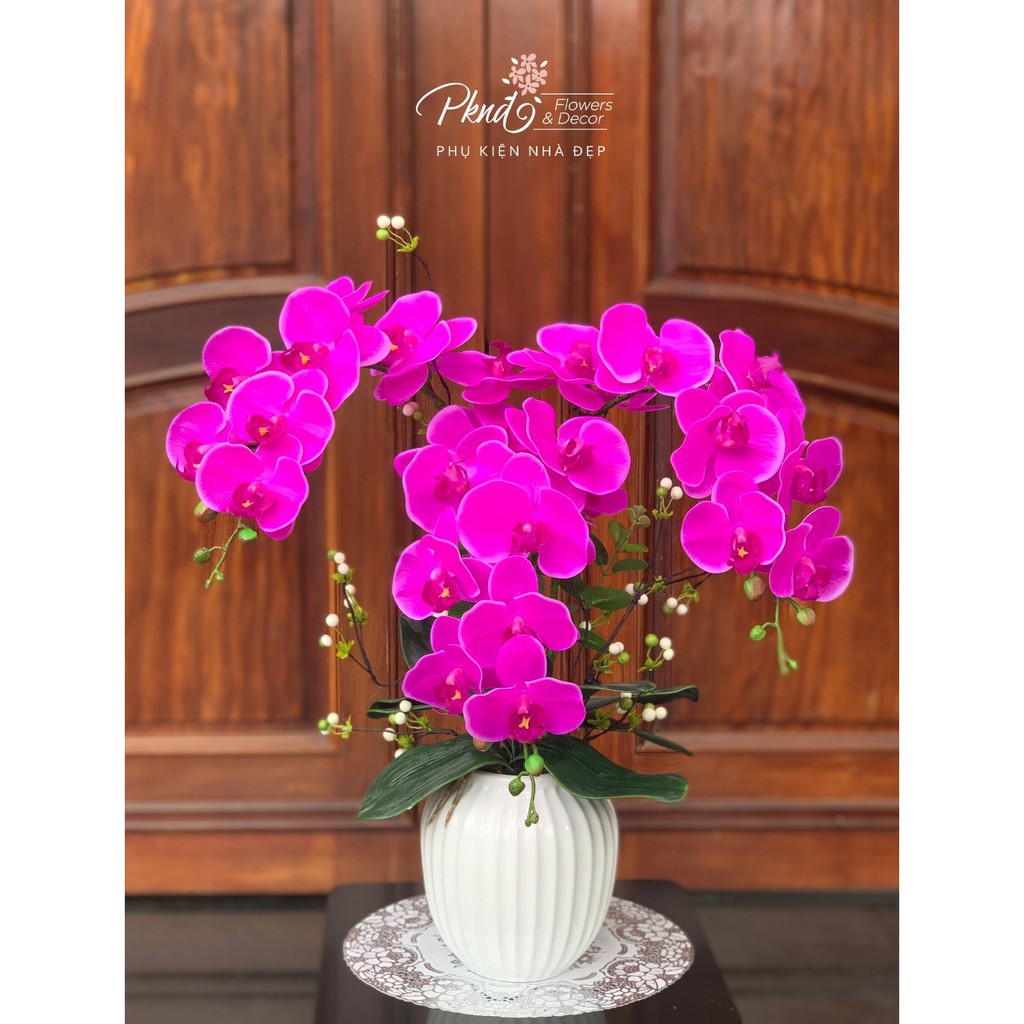 Chậu Lan Cao Su 3 Cành kết hợp hoa tiểu cảnh sang trọng - Nhiều màu sắc PKND FLOWERS &amp; DECOR CH98