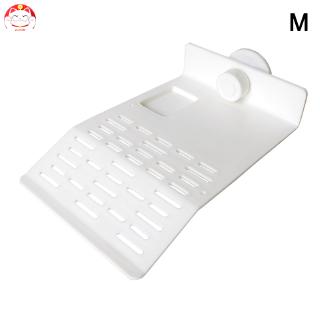 Bệ nằm trang trí bể nuôi rùa/bò sát