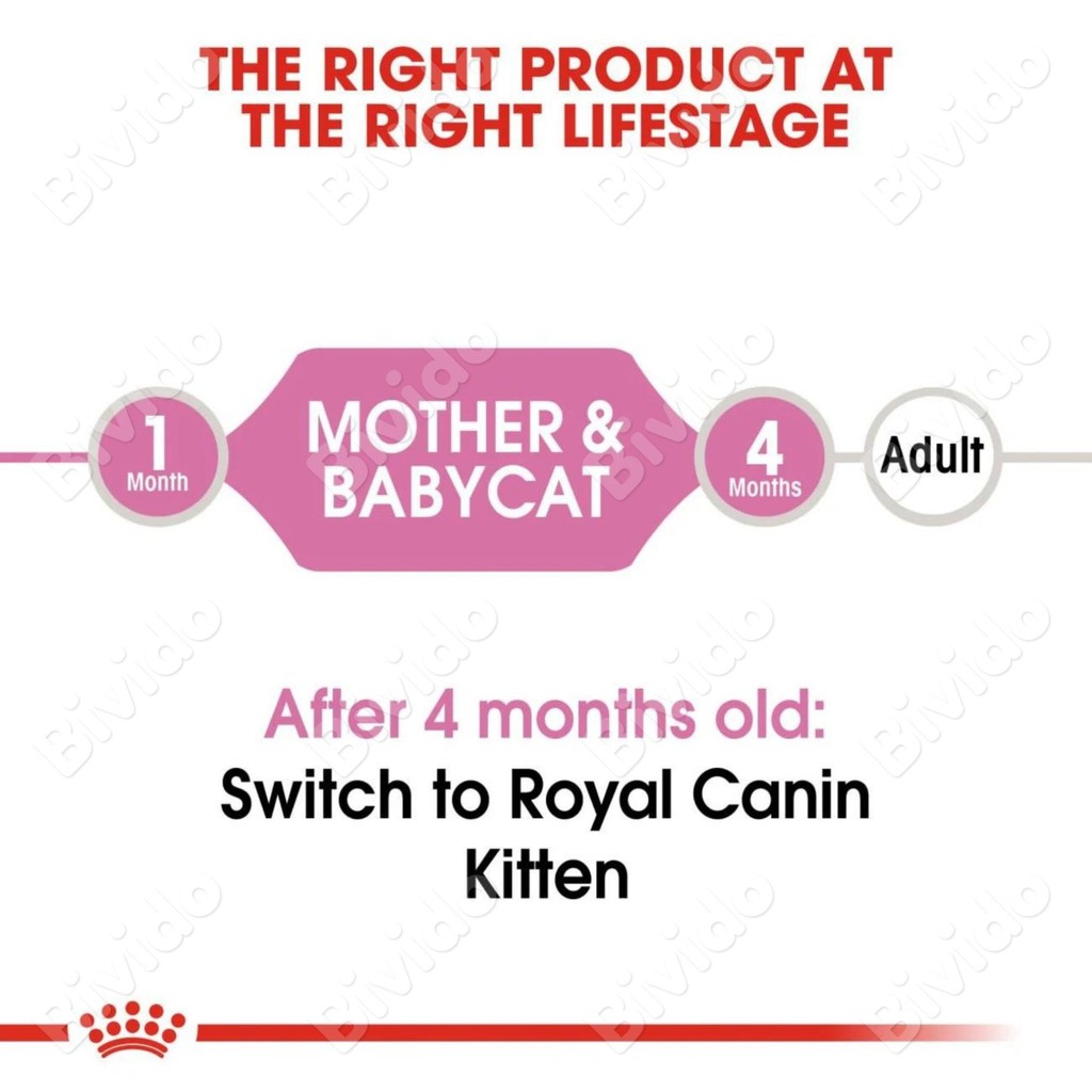 Thức ăn mèo Royal Canin Mother &amp; Babycat mèo mẹ mèo con cai sữa túi 1kg - Bivido