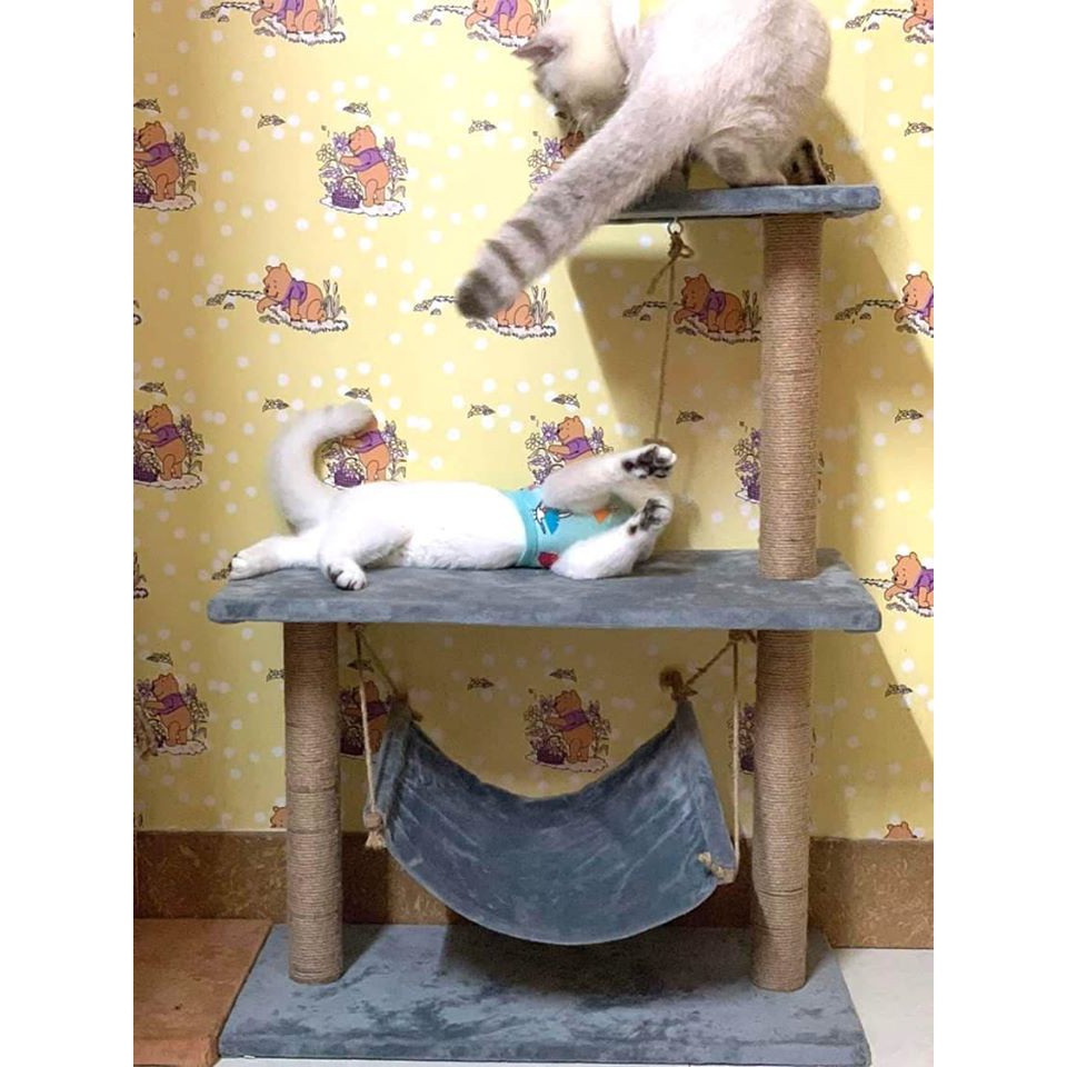 CAT TREE - NHÀ CÂY, TRỤ CÀO MÓNG 3 TẦNG CHO MÈO SIÊU KHỔNG LỒ, GỖ TỰ NHIÊN BẢO VỆ MÔI TRƯỜNG