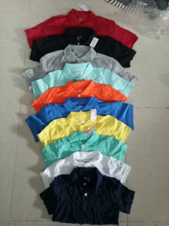 Áo cộc tay Polo