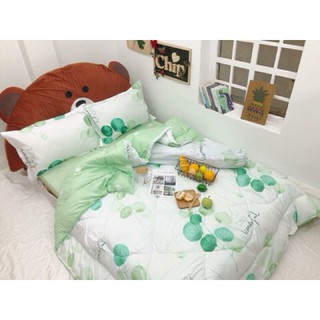 [FREE SHIP] Bộ Ga Gối Chăn Phao Poly Cottong Nhập Khẩu ( gạt trái xem mẫu )