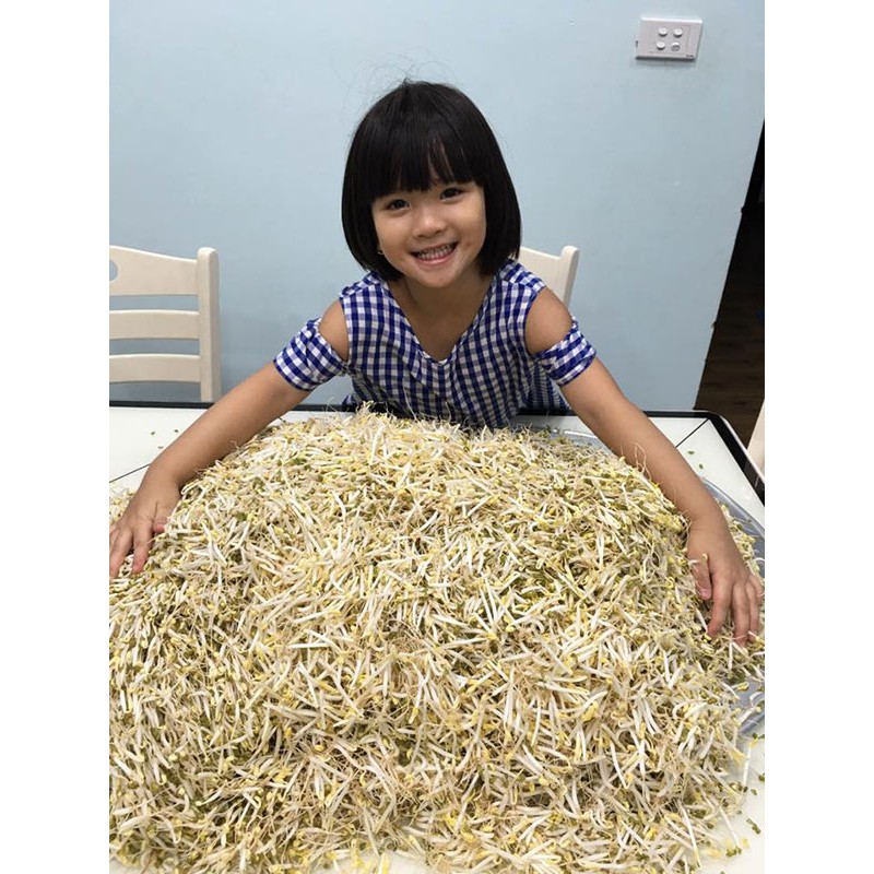 Thiết bị làm giá đỗ bản công nghiệp GV102 của TS Đỗ Ngọc Chung | BigBuy360 - bigbuy360.vn