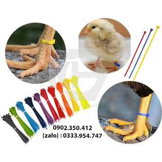 Dây Rút Màu Đánh Dấu Chân Gà 100 Sợi