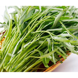 Hạt giống tốt rau muống lá tre 50g - 100g
