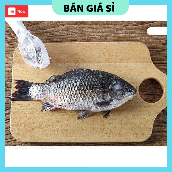 Đánh vảy cá  ️ GIÁ VỐN Dụng cụ đánh vảy cá JY195 dễ dàng làm sạch, tiết kiệm thời gian 8803